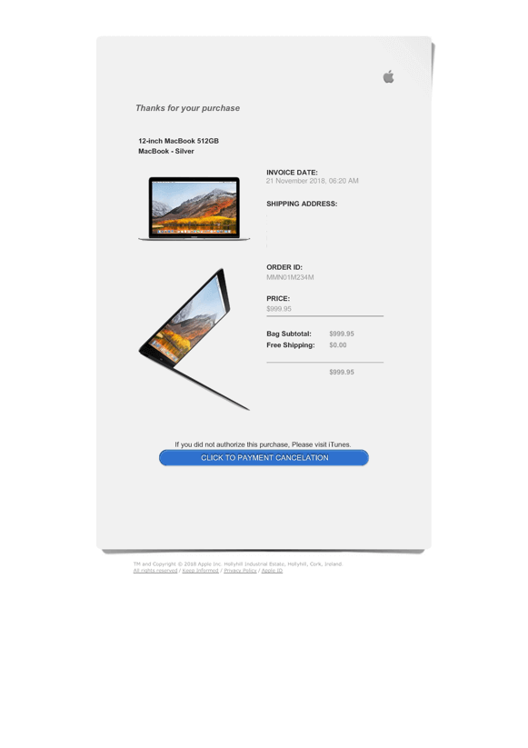 apple purchase receipt email store report order