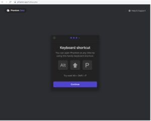 Instructions for the malicious browser extension